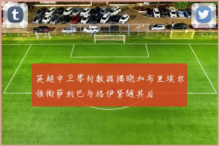 英超中卫零封数据揭晓加布里埃尔领衔萨利巴与格伊紧随其后